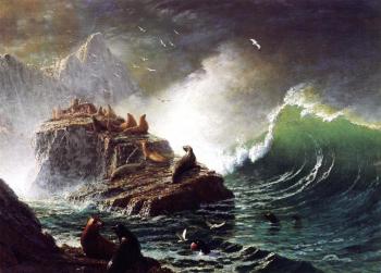 阿爾伯特 比爾施塔特 Seals on the Rocks Farallon Islands 阿爾伯特 比爾施塔特 Seals on the Rocks Farallon Islands